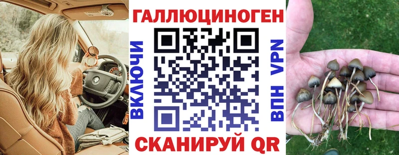 Галлюциногенные грибы Magic Shrooms  купить   Томилино 